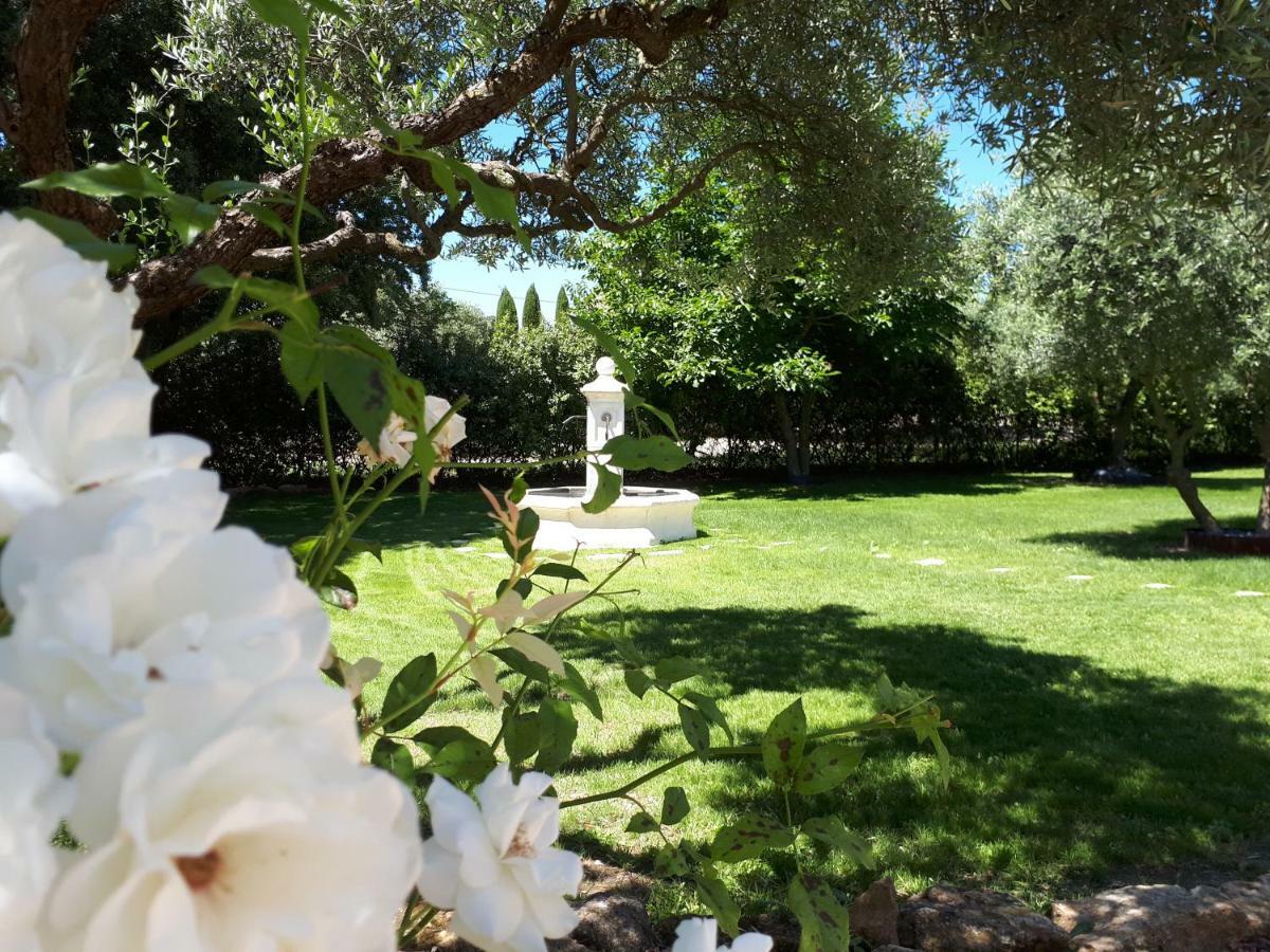 Holiday home L 'oliveraie Gordes